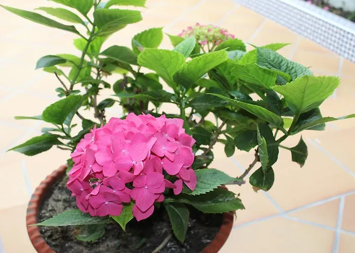 شقة El Arco كونيل ذي لا فرونتيرا